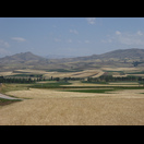 Eine Landschaft wie gemalt
